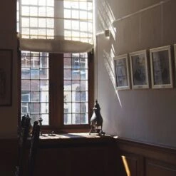 10 Pack SHADES Molding Hook Kit With Perlon Cord And Zipper (White, 59" Perlon Cord) -Floor Promotion Store 0ad57895 fca4 449f 941a 051b54ffe4ae 1.112d35f1ddda4b4f45a8d408d7dc09ad 1800x1800