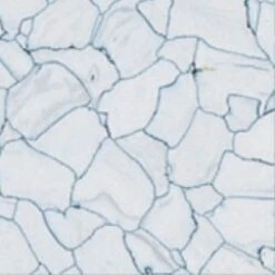 Flexco Conductive Tile Steel Gray 12-in X 12-in Vinyl Tile Flooring (1-sq Ft)