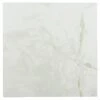 Achim Sterling Classic White With Grey Veins 12-in X 12-in Water Resistant Peel And Stick Vinyl Tile Flooring (20-sq Ft)