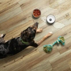 SMARTCORE Pro 7-Piece 7.08-in X 48.03-in Burbank Oak Luxury Vinyl Plank Flooring -Floor Promotion Store 190402110275 09506001 1800x1800