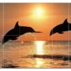 Dolphin Ceramic Tile Mural Kitchen Backsplash Bathroom Shower, 402794-XL64