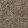 Home Decorators Collection Stryker Court - Color Greystone Texture 12 Ft. Carpet(1080 Sq. Ft./Roll)