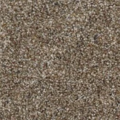 Home Decorators Collection Stryker Court - Color Greystone Texture 12 Ft. Carpet(1080 Sq. Ft./Roll)