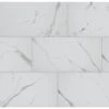 Florida Tile Home Collection Carrara Matte Rectified 12 In. X 24 In. Porcelain Floor And Wall Tile (13.3 Sq. Ft. /case)