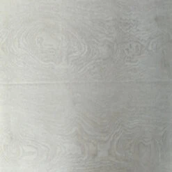 Dekorman White Oil Oak(#1160) 12 Mm Thick X 6.57 In. Wide X 48 In. Length Click-Locking Laminate Flooring Planks (17.47 Sq. Ft. / Case) -Floor Promotion Store 578fdb18 f57f 4af4 aef8 9b6cfbe9038d 1.b121f6502509679c91fa2a24f3288015 1800x1800