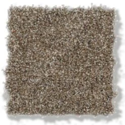 Home Decorators Collection Stryker Court - Color Greystone Texture 12 Ft. Carpet(1080 Sq. Ft./Roll) -Floor Promotion Store 650f2584cb88163e8a9a9a72573fdb64 1800x1800