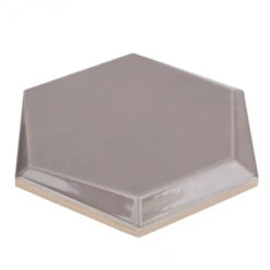 Magen Leveled-Hex Gray Polished Ceramic Hexagon Tile -Floor Promotion Store 76ad6830 59db 475c 94ef b176f2707c43.7203eb89c62ec706d7410383daad13b1 1800x1800