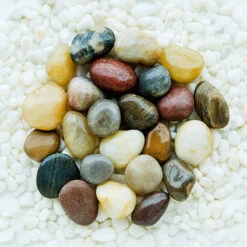 Polished Cobblestone Pebble Tile For Walls, Floors, Garden, Yards (1 Box With 6x 10''x10'' Circle Pieces) -Floor Promotion Store 83368aaa 6ebe 4232 a049 1f33b0a421d4 1.98967f6051495718b23d2c779dff614d 1800x1800
