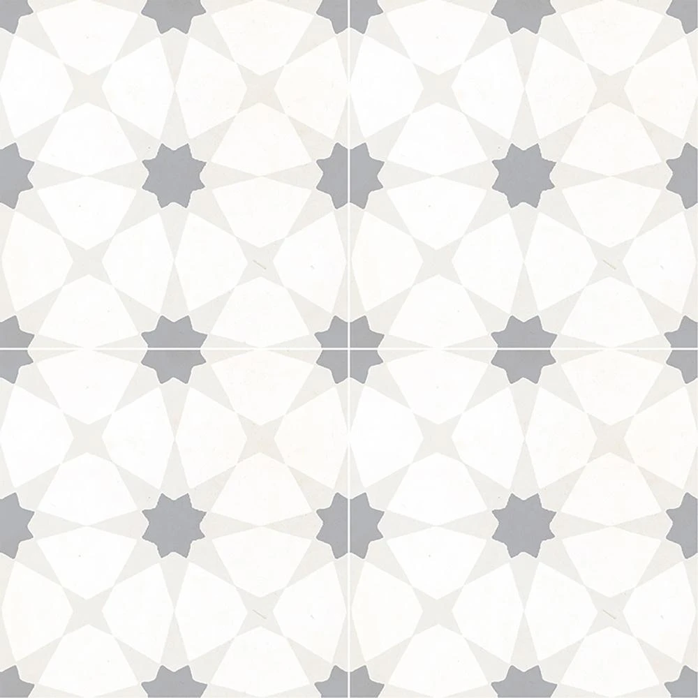 MSI Paloma Encaustic 8 In. X 8 In. Matte Porcelain Floor And Wall Tile (5.33 Sq. Ft. /case) 14 MSI Paloma Encaustic 8 In. X 8 In. Matte Porcelain Floor And Wall Tile (5.33 Sq. Ft. /case) - Image 14