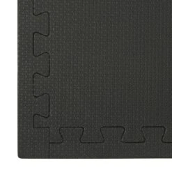 Norsk Blue/Black 24 In. X 24 In. EVA Foam Multi-Purpose Reversible Interlocking Tile (16-Tile) -Floor Promotion Store b1c3d3ac 0416 4683 8a8d de5bd4d458e9 1.d73e8d97c17775e89602cbcc434fc532 1800x1800