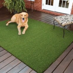 TrafficMaster Pet 3.75 Ft. X 9 Ft. Artificial Grass -Floor Promotion Store cfd1ee506129012555a64e3f84e3c864 1800x1800