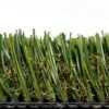 StarPro Greens St. Augustine Ultra 15 Ft. Wide X Cut To Length Artificial Grass