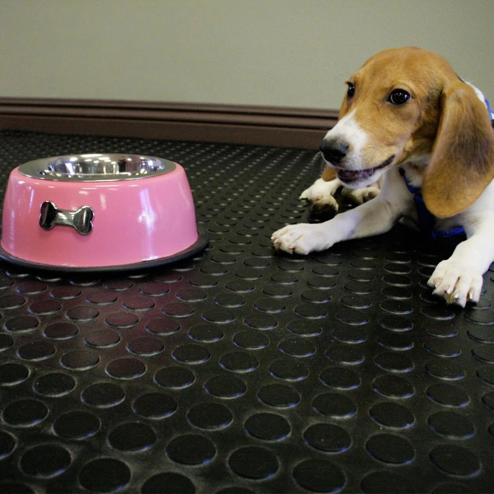 Rubber-Cal Coin Grip 4 Ft. X 15 Ft. Black Commercial Grade PVC Flooring 6 Rubber-Cal Coin Grip 4 Ft. X 15 Ft. Black Commercial Grade PVC Flooring - Image 6