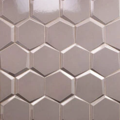 Magen Leveled-Hex Gray Polished Ceramic Hexagon Tile