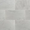 MSI Greecian White 12 In. X 24 In. Polished Marble Floor And Wall Tile (10 Sq. Ft. / Case)