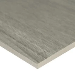 MSI Brooksdale Birch 9.84 In. X 39.37 In. Matte Porcelain Floor And Wall Tile (13.89 Sq. Ft. / Case) 14 MSI Brooksdale Birch 9.84 In. X 39.37 In. Matte Porcelain Floor And Wall Tile (13.89 Sq. Ft. / Case) -Floor Promotion Store fdbdea856c54b88b113ab4f5a111ca8d 1800x1800